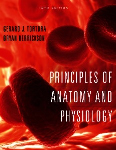 PRINCIPLES OF ANATOMY AND PHYSIOLOGY Twelfth Edition - Repository ...